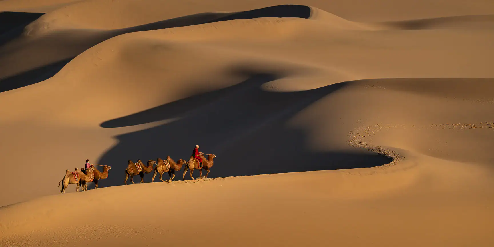 Camel riders silhouetted against sunset in the Mongolian desert